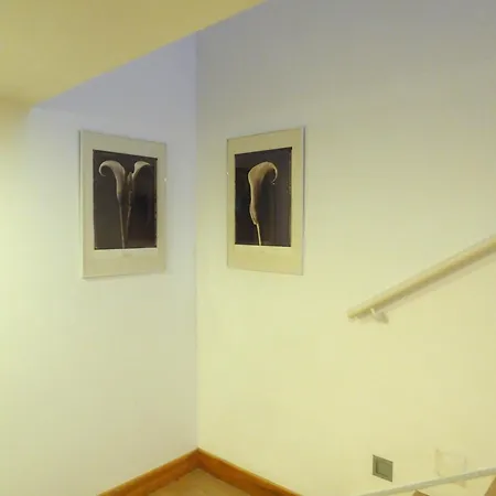 Casa Da Cerca 오비도스