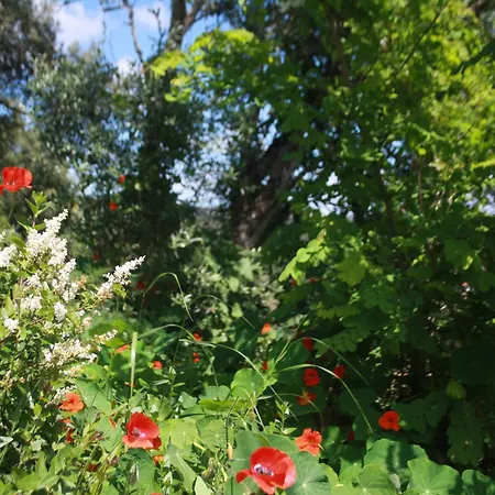 Casa Da Cerca * Obidos