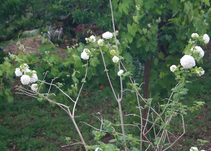 Holiday home Casa Da Cerca