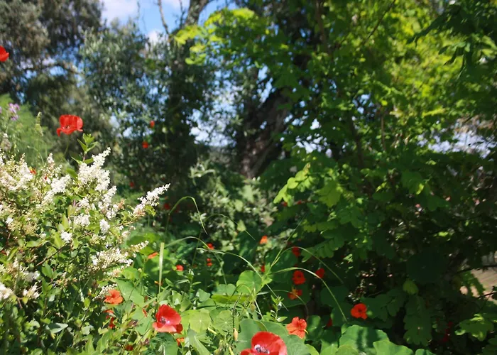 Casa Da Cerca * Obidos